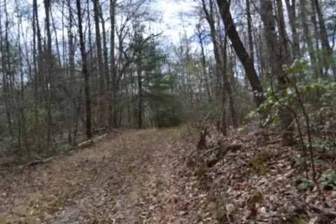 0 Buffalo Rd, Oneida, TN 37841 photo 13