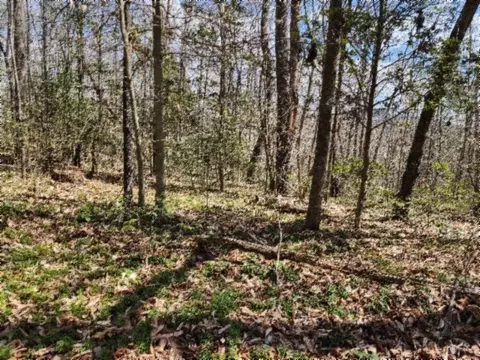 0 Buffalo Rd, Oneida, TN 37841 photo 7