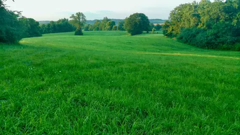 0 Clear Creek Rd, Pulaski, TN 38478