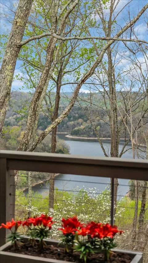 Other - 8581 Silver View Ln, Silver Point, TN 38582 photo 8 of 17
