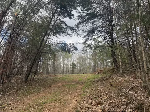0 Allens Creek Rd, Hohenwald, TN 38462