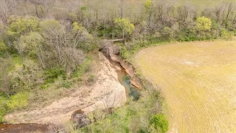 View/Area - 0 Dry Weakley Rd, Ethridge, TN 38456 photo 2 of 12