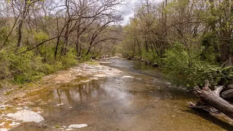 View/Area - 0 Dry Weakley Rd, Ethridge, TN 38456 photo 1 of 12