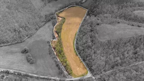 Other - 0 Dry Weakley Rd, Ethridge, TN 38456 photo 4 of 19
