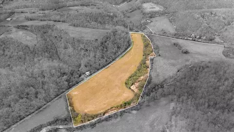 Other - 0 Dry Weakley Rd, Ethridge, TN 38456 photo 5 of 19