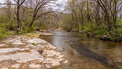 View/Area - 0 Dry Weakley Rd, Ethridge, TN 38456 photo 4 of 12