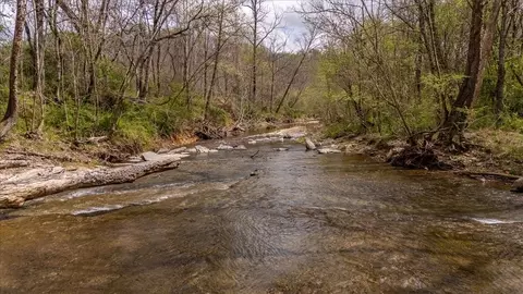 View/Area - 0 Dry Weakley Rd, Ethridge, TN 38456 photo 5 of 12