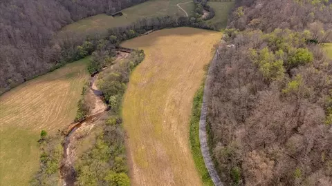 Other - 0 Dry Weakley Rd, Ethridge, TN 38456 photo 12 of 19