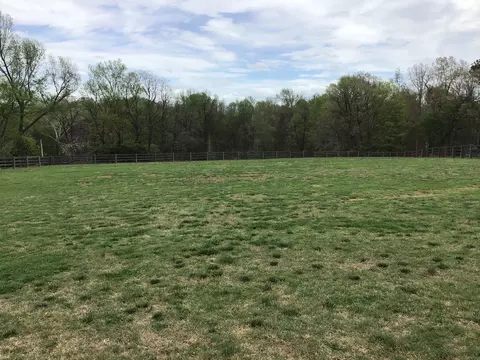 Other - 8960 New Chapel Rd, Springfield, TN 37172 photo 1 of 9