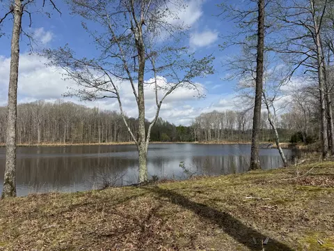 View/Area - 1565 Old Hwy Number One, Dickson, TN 37055 photo 2 of 12