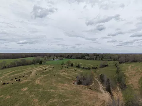 View/Area - 1565 Old Hwy Number One, Dickson, TN 37055 photo 6 of 12