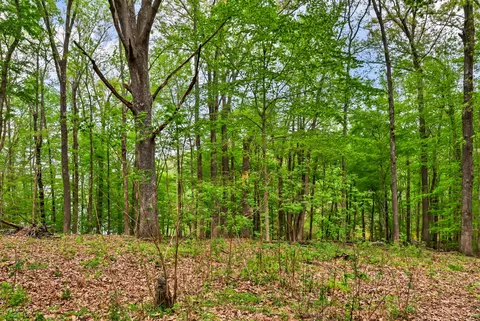0 Waters Edge Ln, Bumpus Mills, TN 37028