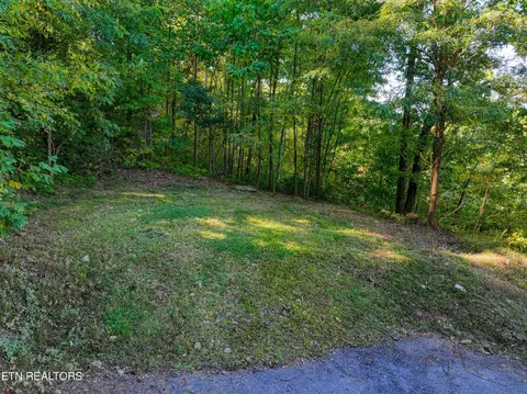 1020 Pine Top Ln, Gatlinburg, TN 37738