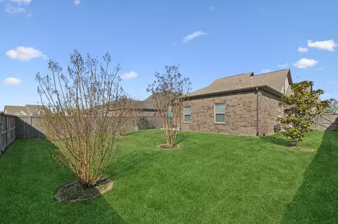 Exterior - 1017 Violet St, Spring Hill, TN 37174 photo 7 of 10