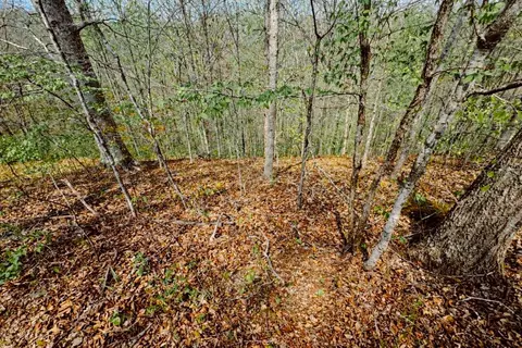 0 Holiday Haven Dr, Smithville, TN 37166