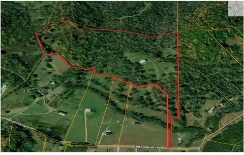 1818 Preacher Holt Rd, Mount Pleasant, TN 38474