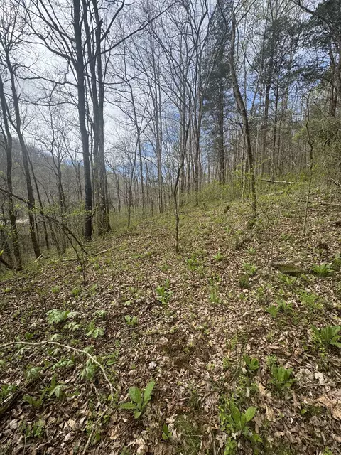 Other - 0 Mcbroom Branch Rd, Baxter, TN 38544 photo 17 of 25