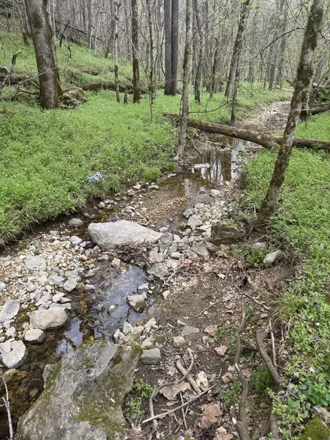 Other - 0 Mcbroom Branch Rd, Baxter, TN 38544 photo 9 of 25