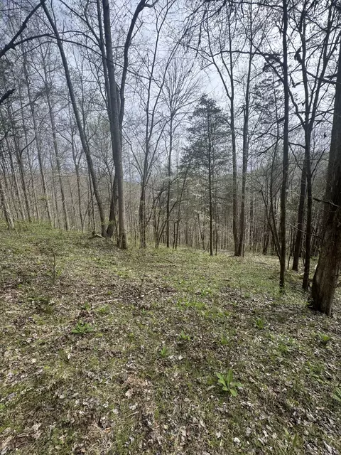 Exterior - 0 Mcbroom Branch Rd, Baxter, TN 38544 photo 4 of 4