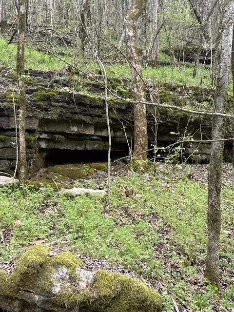 Other - 0 Mcbroom Branch Rd, Baxter, TN 38544 photo 14 of 25