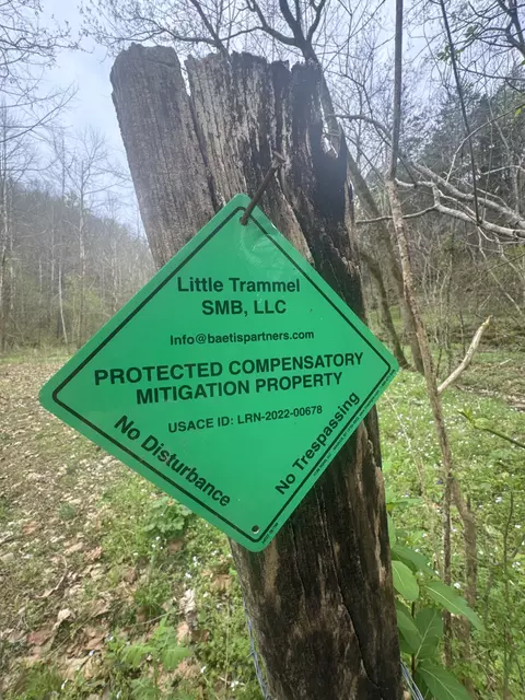 Other - 0 Mcbroom Branch Rd, Baxter, TN 38544 photo 6 of 25