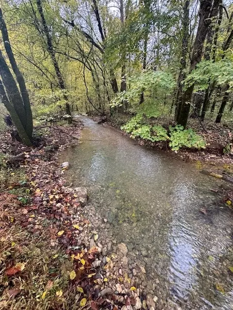 View/Area - 0 Mcbroom Branch Rd, Baxter, TN 38544 photo 2 of 2
