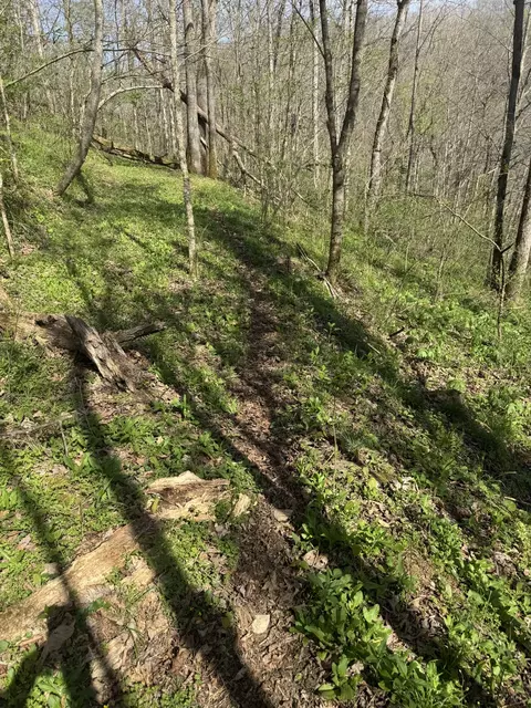 Other - 0 Mcbroom Branch Rd, Baxter, TN 38544 photo 22 of 25