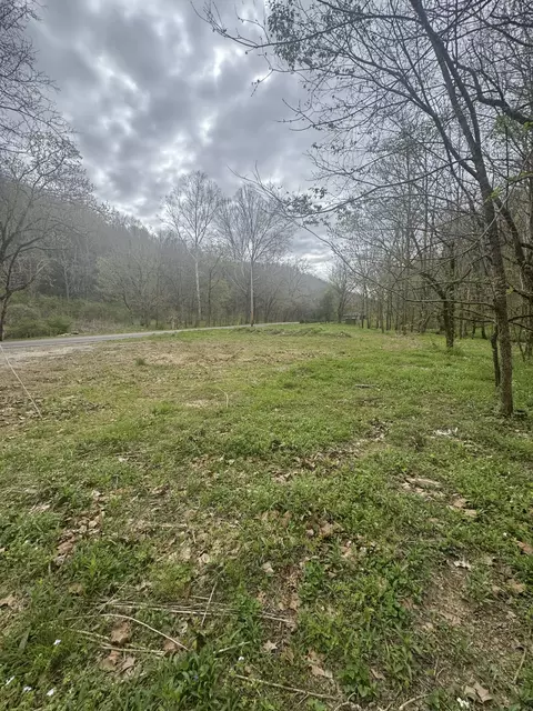 Other - 0 Mcbroom Branch Rd, Baxter, TN 38544 photo 4 of 25