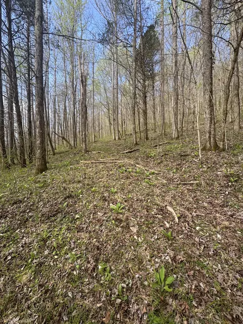Other - 0 Mcbroom Branch Rd, Baxter, TN 38544 photo 19 of 25