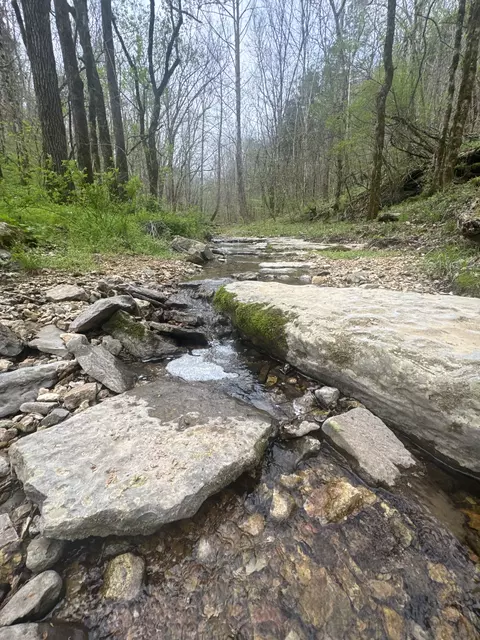 Other - 0 Mcbroom Branch Rd, Baxter, TN 38544 photo 13 of 25