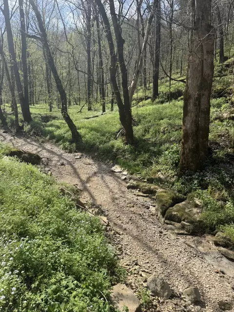 Other - 0 Mcbroom Branch Rd, Baxter, TN 38544 photo 25 of 25