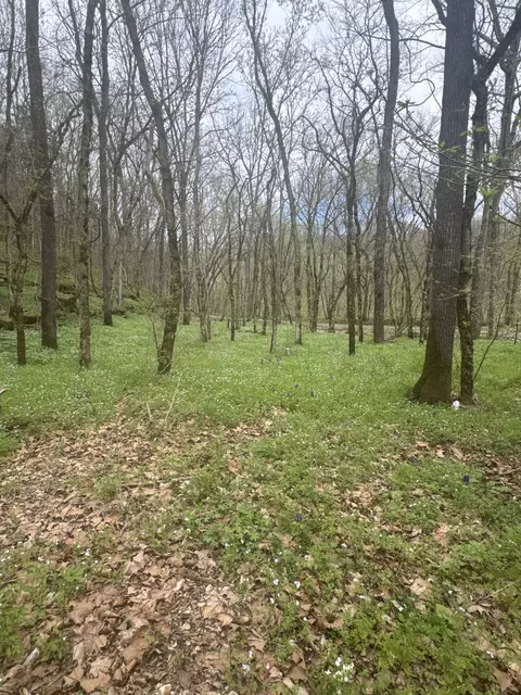 Other - 0 Mcbroom Branch Rd, Baxter, TN 38544 photo 8 of 25