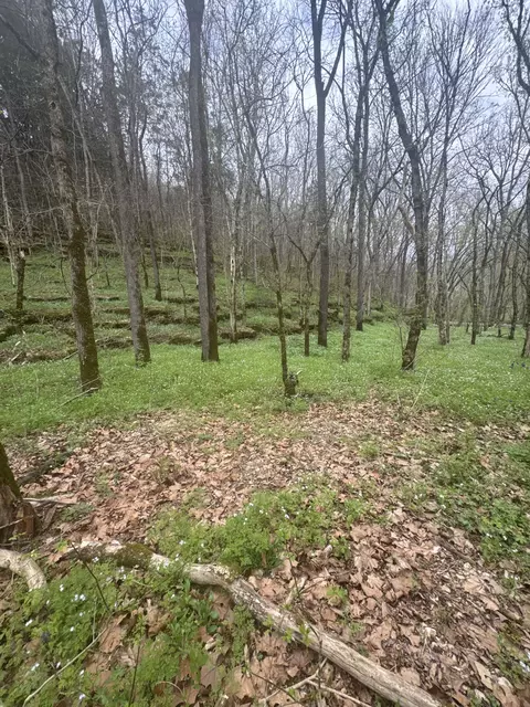 Exterior - 0 Mcbroom Branch Rd, Baxter, TN 38544 photo 3 of 4