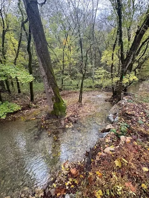View/Area - 0 Mcbroom Branch Rd, Baxter, TN 38544 photo 1 of 2