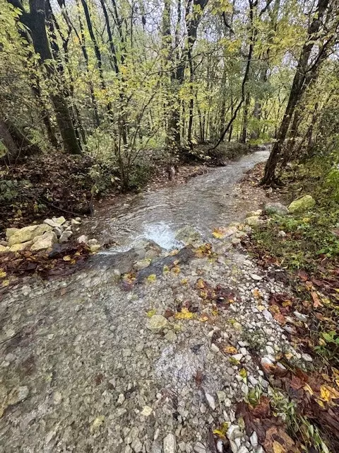 Other - 0 Mcbroom Branch Rd, Baxter, TN 38544 photo 2 of 25