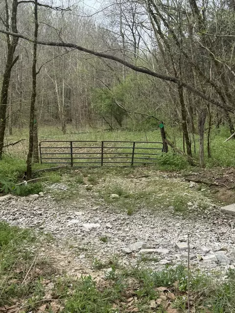 Other - 0 Mcbroom Branch Rd, Baxter, TN 38544 photo 3 of 25