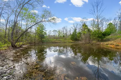 2 Bud Parker Ln, Erin, TN 37061