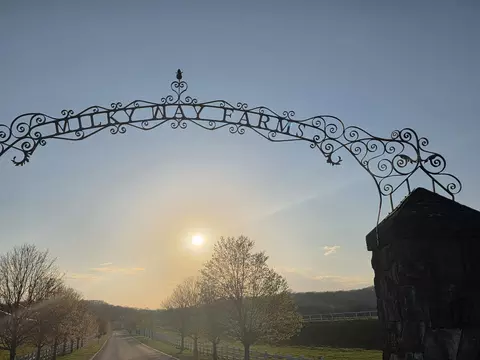 381 Milky Way Dr, Pulaski, TN 38478