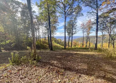 390 Volunteer St, Jasper, TN 37347