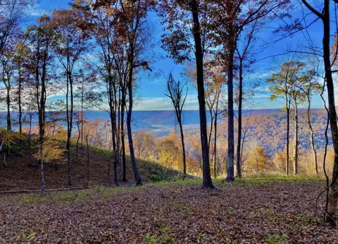 390 Volunteer St, Jasper, TN 37347