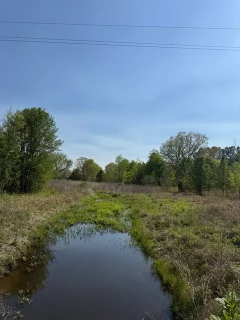 185 Scott Orchard Rd, Taft, TN 38488