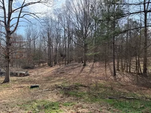 60 Robert Barnhill Rd, Paris, TN 38242 photo 33