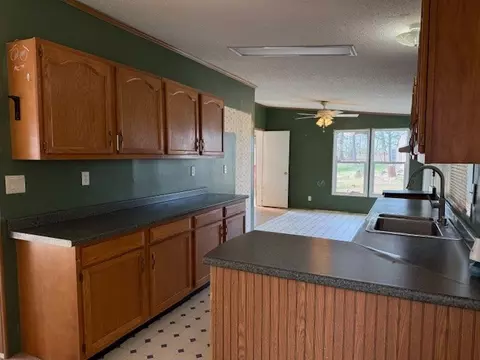 60 Robert Barnhill Rd, Paris, TN 38242 photo 9