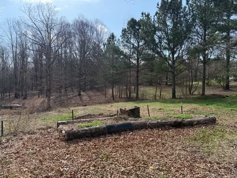 60 Robert Barnhill Rd, Paris, TN 38242 photo 32