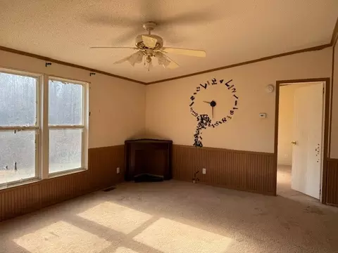 60 Robert Barnhill Rd, Paris, TN 38242 photo 3