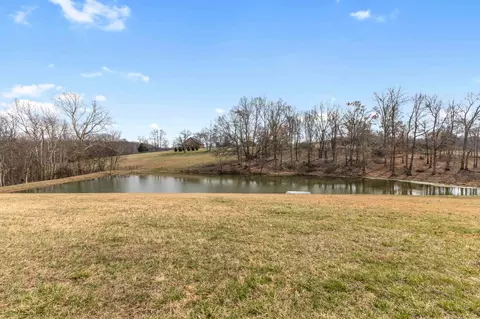 View/Area - 1103 Rogues Fork Rd, Bethpage, TN 37022 photo 1 of 12