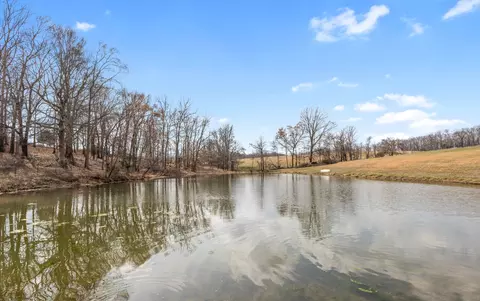 View/Area - 1103 Rogues Fork Rd, Bethpage, TN 37022 photo 2 of 12