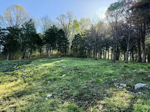 84 Harbor Pointe Dr, Silver Point, TN 38582 photo 3