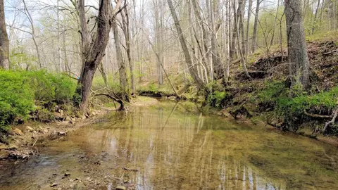 293 E Piney Rd, Dickson, TN 37055