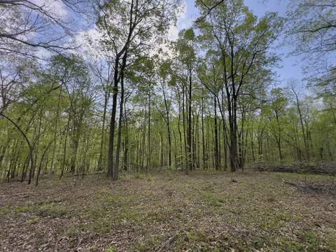 0 Valley Rd, Fairview, TN 37062